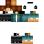 Texture for Steve