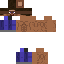 Texture for Steve 