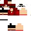 Texture for Snoow
