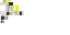 Texture for Light Endermight