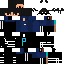 Texture for parsaph111