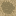 Texture for Moist carpet