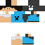 Texture for luiz_3022
