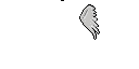Texture for Wings