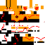 Texture for flashreverso