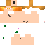 Texture for Poom