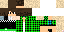 Texture for GUSTAVO