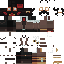 Texture for Tech Meru