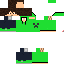 Texture for LagartichaVoadora