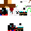 Texture for zarcort