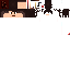 Texture for Head