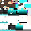 Texture for Steve