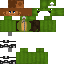 Texture for light turtle