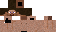 Texture for Steve