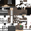 Texture for Phoenix60 Survivor