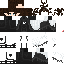 Texture for ds
