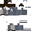 Texture for fv