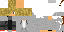 Texture for Leo