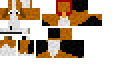 Texture for beagle 