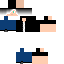 Texture for Raiden