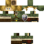Texture for LINK
