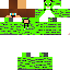 Texture for LeonardoTuTu