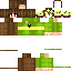 Texture for chara