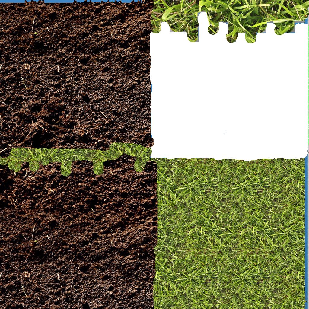 Texture for Realistic Grass Block