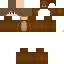 Texture for Requirable's Skin