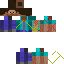 Texture for STEVE