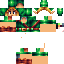 Texture for LINK