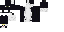 Texture for Tuxedo Cat