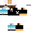 Texture for whw3h