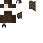 Texture for ds