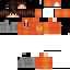 Texture for Flepi