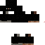 Texture for ninja
