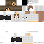 Texture for steve
