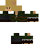 Texture for Link