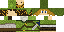 Texture for Link