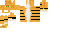 Texture for cat tigr