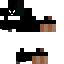 Texture for pauldragon2
