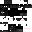 Texture for S