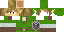 Texture for Link