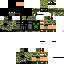 Texture for swat.pgt
