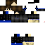 Texture for SilverPearse