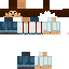 Texture for Steve