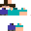 Texture for Steve