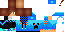 Texture for Cat go