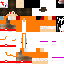 Texture for sa2