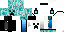 Texture for Steve